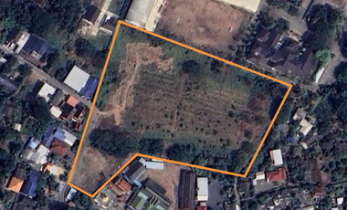 Land 11 rai in San Kam Phaeng for Sale