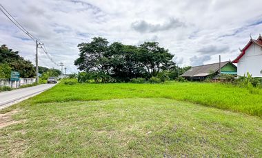 Land 11 rai in San Kam Phaeng for Sale