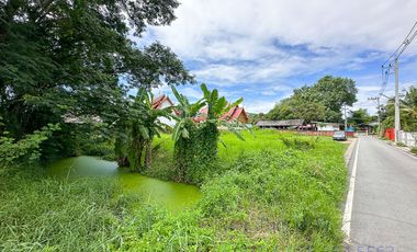 Land 11 rai in San Kam Phaeng for Sale