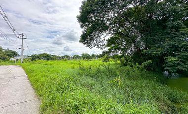 Land 11 rai in San Kam Phaeng for Sale