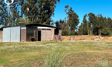 PARCELA 5000M2 Y CASA OPORTUNIDAD AUTOPISTA DEL SOL PUANGUE MELIPILLA