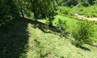 VENTA DE FINCA VACACIONAL EN EL GAITERO – SOPETRÁN, ANTIOQUIA