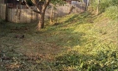 Se VENDE terreno en la Playa de Pedernales 240m2, 2 cuadras de  la playa  a 5 minutos de la via principal ( Ruta del Spondyllus ), Esmeraldas, Ecuador