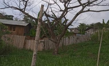 Terreno en la Playa de Pedernales 240m2, 2 cuadras de  la playa  a 10 minutos de la via principal ( Ruta del Spondyllus ), Esmeraldas, Ecuador