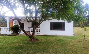 Renta linda casa al ingreso de Cotacachi