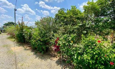 SE VENDE FINCA EN BELLAVISTA