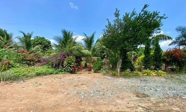SE VENDE FINCA EN BELLAVISTA