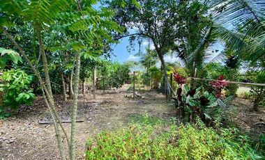 SE VENDE FINCA EN BELLAVISTA