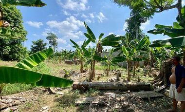 SE VENDE FINCA EN BELLAVISTA