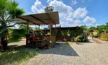 SE VENDE FINCA EN BELLAVISTA