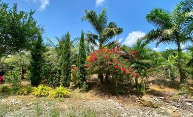 SE VENDE FINCA EN BELLAVISTA
