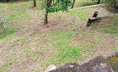 Venta de casa en barrio Alta Suiza. Manizales