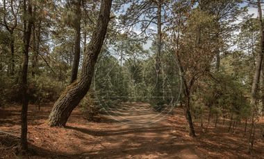 Villa en Venta Tapalpa Zona Presa, Fracc Remanso