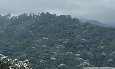 VENTA O PERMUTA APARTAMENTO SOBRE LA AVENIDA SANTANDER, MANIZALES