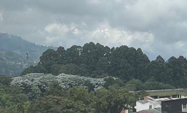 VENTA O PERMUTA APARTAMENTO SOBRE LA AVENIDA SANTANDER, MANIZALES