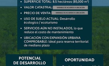 LOTES EN VENTA CANCÚN BENITO JUÁREZ