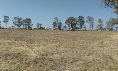 RANCHO EN VENTA EN EL ESTADO DE HIDALGO