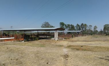 RANCHO EN VENTA EN EL ESTADO DE HIDALGO