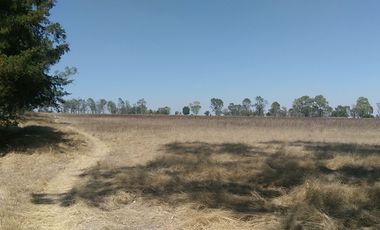 RANCHO EN VENTA EN EL ESTADO DE HIDALGO