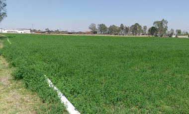 RANCHO EN VENTA EN EL ESTADO DE HIDALGO