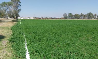 RANCHO EN VENTA EN EL ESTADO DE HIDALGO