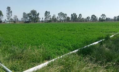 RANCHO EN VENTA EN EL ESTADO DE HIDALGO