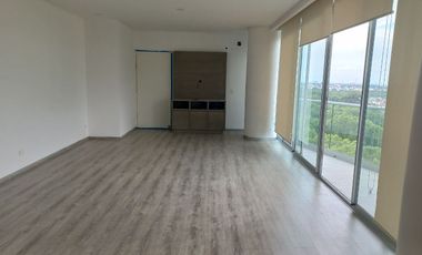 Departamento en Renta en Nuevo Sur