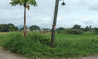 BALANGA PROPERTY, RESIDENTIAL LOT FOR SALE