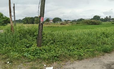 BALANGA PROPERTY, RESIDENTIAL LOT FOR SALE