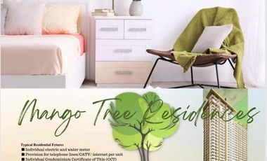 Premium Living 1 Bedroom Condo Rent to Own 25K/MO For Sale in San Juan near Greenhills Xavierhills LaSalle Ready For Occupancy Mango Tree Residences