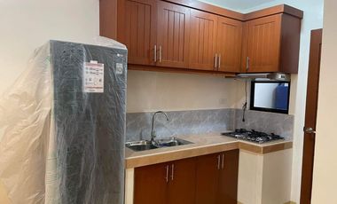 2 units Apartments for Sale in Dao, Tagbilaran, Bohol