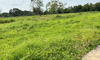 Bataan Property @Catalina Lake Residential Lot