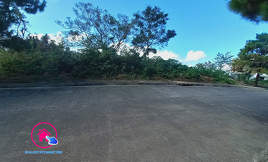 RUSH SALE! 862 sqm Pinewoods Estate Lot!