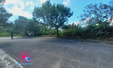 RUSH SALE! 862 sqm Pinewoods Estate Lot!