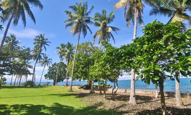 7 REDUCED PROPERTY PRICES FOR SALE IN CAMOTES ISLAND, CEBU, PHILIPPINES