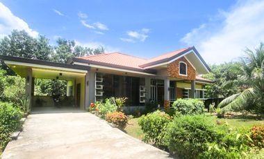 7 REDUCED PROPERTY PRICES FOR SALE IN CAMOTES ISLAND, CEBU, PHILIPPINES