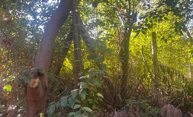 Se vende terreno en Vilches