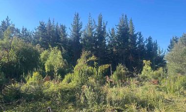 Se vende terreno en Vilches