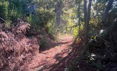 Se vende terreno en Vilches