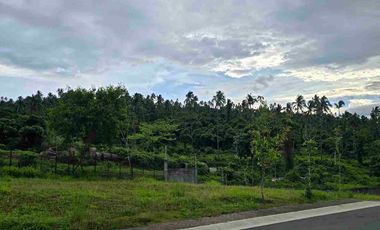 Andacillo Nuvali - Good Deal Residential Lot