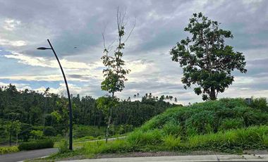 Andacillo Nuvali - Good Deal Residential Lot