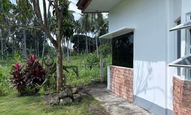 Newly Built Bungalow House and Lot in Valencia, Negros Oriental ID 14993