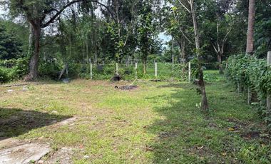 Newly Built Bungalow House and Lot in Valencia, Negros Oriental ID 14993