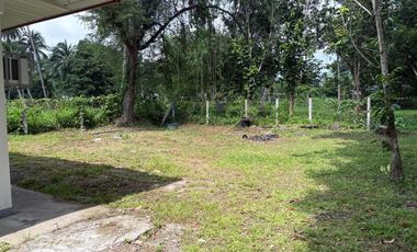 Newly Built Bungalow House and Lot in Valencia, Negros Oriental ID 14993