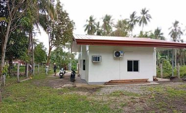 Newly Built Bungalow House and Lot in Valencia, Negros Oriental ID 14993