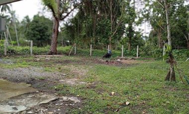 Newly Built Bungalow House and Lot in Valencia, Negros Oriental ID 14993