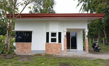 Newly Built Bungalow House and Lot in Valencia, Negros Oriental ID 14993