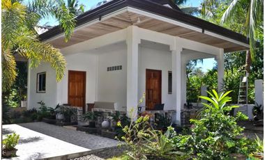2 Houses with White Sand Beach Camotes Islands, Cebu for sale in Himensulan
