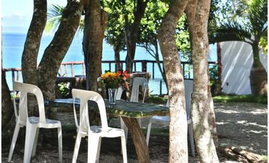 2 Houses with White Sand Beach Camotes Islands, Cebu for sale in Himensulan