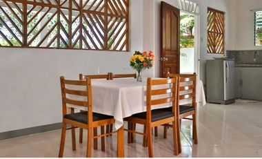 2 Houses with White Sand Beach Camotes Islands, Cebu for sale in Himensulan